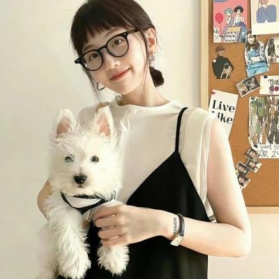 李诺的梦想